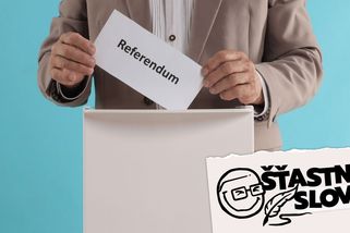 Babišova vláda zařízla referendum. Dobře udělala - Seznam Zprávy