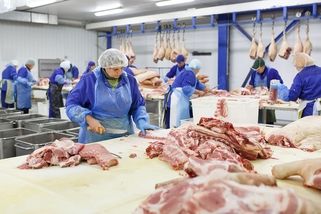 Jablko z Chile a kuře z Brazílie. Svaz nechal spočítat emise dovozu jídla - Seznam Zprávy
