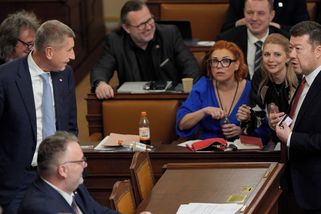 Babiš varoval před tříštěním sil, ANO a SPD však stojí v boji o Senát proti sobě - Novinky