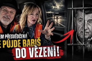 Aňa Geislerová je přesvědčená že Babiš půjde do vězení | Mikodrom