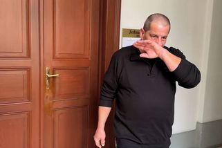 Popelář z Plzeňska, který znásilňoval závozníka, je na svobodě. Soud mu prominul část trestu - Novinky