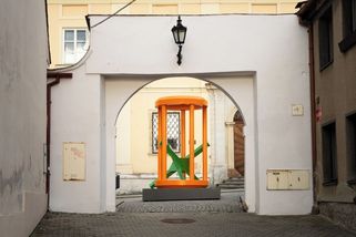 Boskovice řeší záhadu hlavolamu. Neví, co dál s obřím ježkem v kleci - Novinky