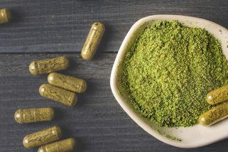 Na základní škole ho seženete za deset minut. Babiš zvažuje změny v regulaci kratomu - Novinky