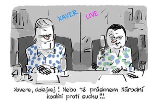 KEMEL: Xavere, dolejvej! - Novinky