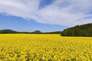 O víkendu k nám nakoukne léto, může být i třicet stupňů - Novinky
