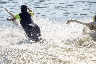 Salto mortale i rána až na kost. Kroužkování labutí bolí, ví plzeňští zvířecí záchranáři - Novinky