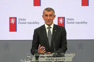 Šaškárna. Část expertů odešla z jednání s Babišem předčasně - Novinky