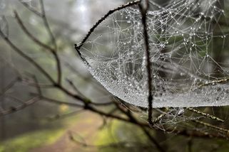 Bouřky vystřídá ochlazení, o víkendu dorazí noční mrazy - Novinky