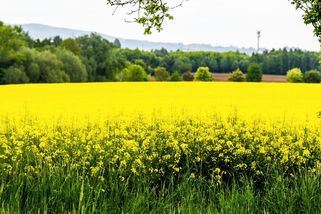 Půda jako nedostupné zlato. Farmáři bojují s překupníky i mezi sebou - Seznam Zprávy