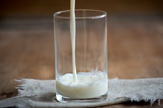 České syrovátky je hodně, výroba žádaného proteinu je ale v nedohlednu - Seznam Zprávy