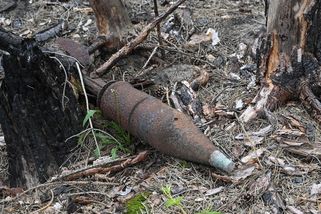 Lesní požáry jako časovaná bomba. Žár odpaluje v Evropě munici z válek - Novinky