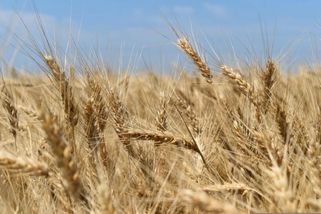 Kyjev žádá další rakety a miliardy pro farmáře. Komise se vyhnula přímé odpovědi