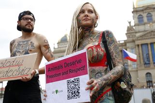 Za práva zvířat. Aktivisté v Praze se svlékli do spodního prádla - Novinky