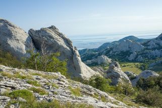 Havárie malého českého letadla v Chorvatsku: dva mrtví - Novinky