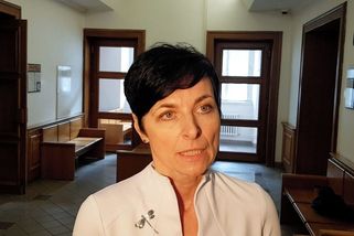 Bradáčová napadla žalobou rozhodnutí kraje, kterým legalizoval zplundrování lesa u Klínovce - Novinky