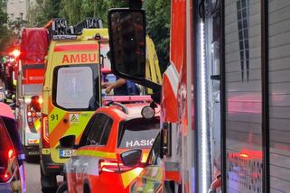 Řidič vezl v autě na Brněnsku pět dětí a narazil do stromu. Jedno na místě zemřelo - Novinky