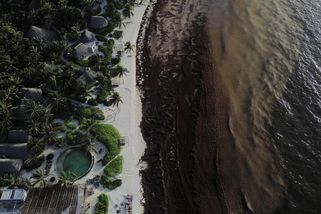 Fotky: Turistický ráj zaplavily hnědé zapáchající řasy - Seznam Zprávy