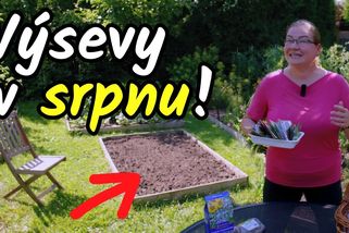 Vysejte toto v srpnu a mějte plné záhony po celý rok! | Šikulio Zahrada