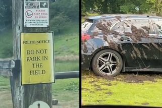 Britskému farmáři došla trpělivost, cizí auta parkující na jeho pozemku pohnojil - Novinky
