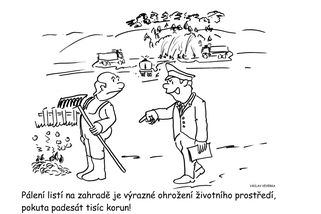 Pálení větví a listí na zahradě je pokutováno - Médium.cz