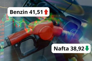 Majitelé dieselů u pumpy zítra zajásají, benziňáci zapláčou - Garáž.cz