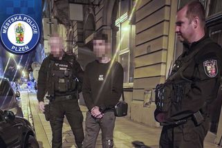 Slovák sedl v Plzni do auta bez řidičáku. Vůz měl špatnou SPZ a chyběla mu technická - Novinky