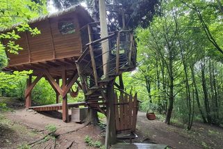 Pokuty nestačily. Na černo postavené treehousy v lese dál lákají turisty - Seznam Zprávy