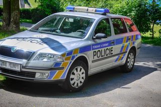 Jedenáctiletý chlapec našel v Praze ztraceného čtyřletého klučinu - Novinky