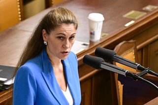Dusno ve Sněmovně: Rajchl vyzval Decroix, ať odejde z politiky. Začíná zábava, reagovala