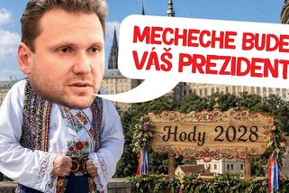 Jak dostat prezidenta Pavla z Hradu za jakoukoliv cenu | Události Luďka Staňka