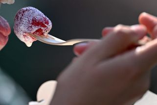 Striktně bílé oblečení, tradiční oslovení i speciální lahůdka: Wimbledon je plejádou tradic