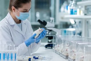 1200 klonů z jedné myši. Dvacetiletý experiment narazil na biologickou zeď