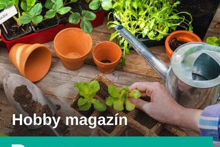 Kontrolu komínů nenechávejte na poslední chvíli, vymetání zvládnete i svépomocí - Hobby magazín | Seznam Podcasty