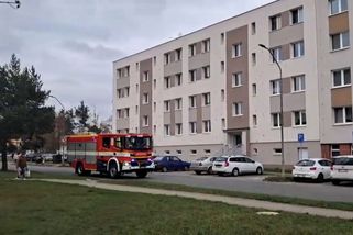 Hasiči z Plzeňska čelí trestnímu oznámení za to, že houkají cestou k zásahům - Novinky