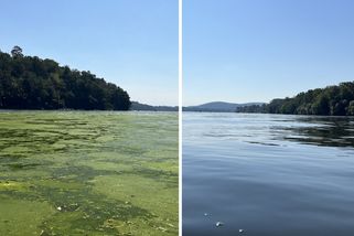 „Žumpu“ proměnili v křišťálovou vodu. Dnes se v ní zdarma koupe 250 000 lidí každý rok