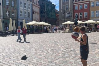 Polská lekce pro Česko. Za hranicí začíná téměř prázdná dálnice, která vede až k živé Poznani
