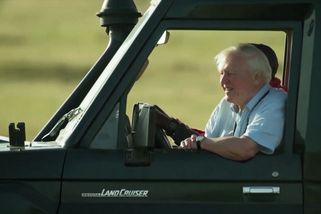 David Attenborough slaví 100. narozeniny - Novinky