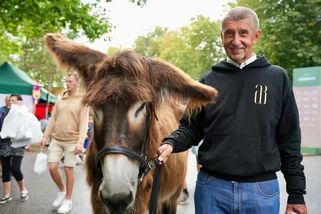 Babiš chce jednobarevnou vládu. A vůbec nechápe pr...