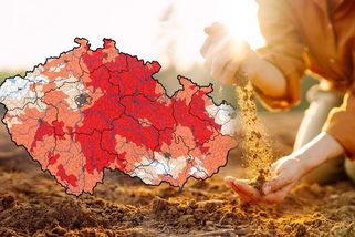 Farmáře zaskočilo letní počasí. Čekají průšvih na polích i loukách - Seznam Zprávy