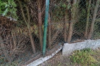 Soused vysadil túje podél plotu. Po letech začaly zasahovat do Karlovy zahrady
