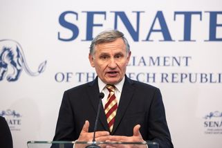 Za Babišovo vítězství může stupidita vlády, říká Čunek - Seznam Zprávy