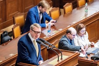 Ženy budou moci dostávat tisíce korun ještě před narozením dítěte, rozhodli poslanci - Novinky