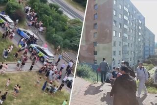 Hromadná bitka v Mojžíři: Rodiny se do sebe drsně pustily přímo na ulici | TN.cz