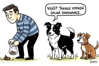 Tohle je prý opravdová dominance. A všichni pejskaři to moc dobře znají - Médium.cz