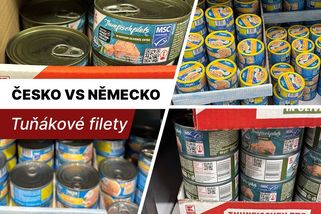Dvojí kvalita? Otestovali jsme v laboratoři tuňákové konzervy zakoupené u nás a v Německu - Novinky