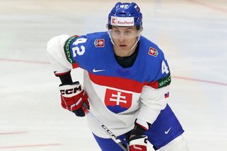 SportWin » Hokej » Podplacení rozhodčí a cílená krádež. Východní sousedé zuří kvůli momentu před brankovištěm