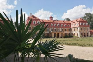 Ze životů zámeckých aneb pán a palma - Médium.cz