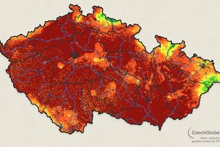 Extrémní půdní sucho sužuje Česko. Rostlinám dochází voda - Novinky