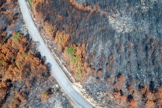 Rekord v Doksanech byl jen začátek. Klimatologové odhalili, co Česko čeká v dalších měsících