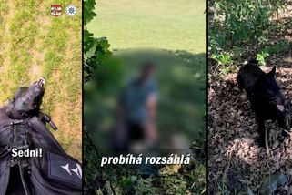 Zajímal se o přežití a utekl do lesa. Pohřešovaného chlapce na Vyškovsku našel policejní pes - Novinky